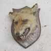 Fox Head