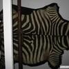 Zebra Skin