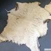 Furs