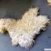 Furs