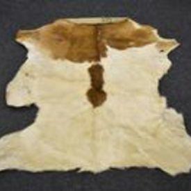 Pelt Item