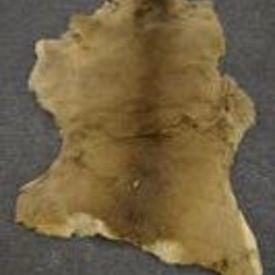 Pelt Item