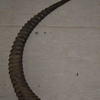 Horn