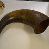Horn