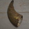 Horn