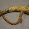 Horn