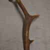 Antler