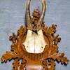 Mounted Small Antlers