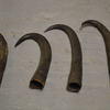 Horns