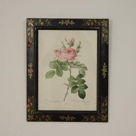 20" x  16" Black Frame Gold Decor Print Of Pink Roses 