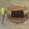 Bull Horns